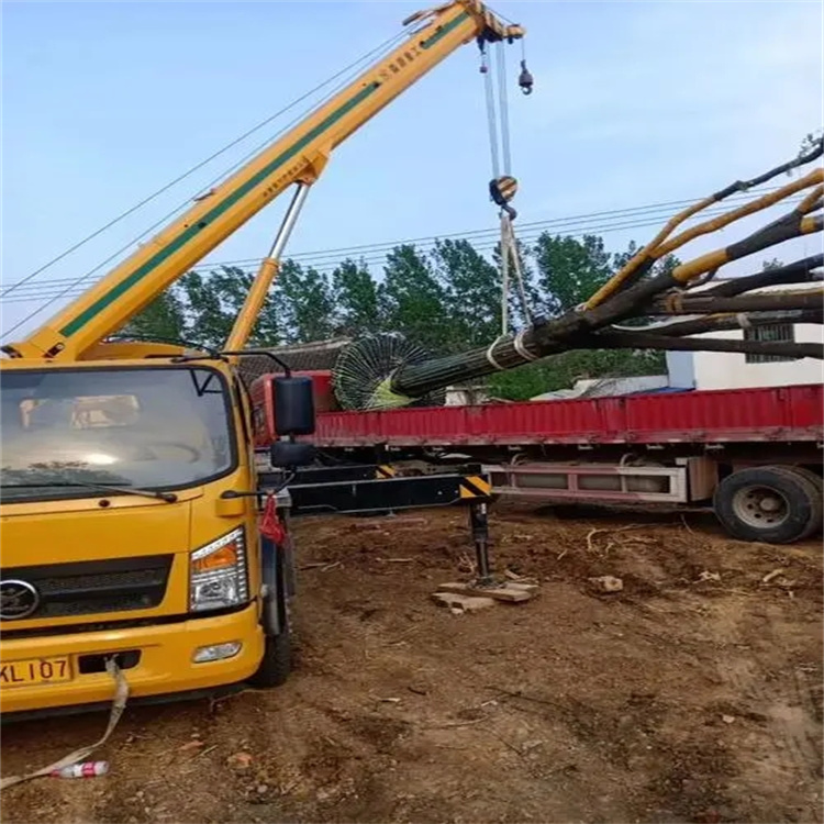 卢市镇100吨吊车租赁费用怎么算？3大关键因素+省钱技巧全解析